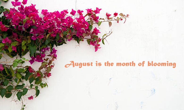 August Quotes And Beautiful Lines For Status